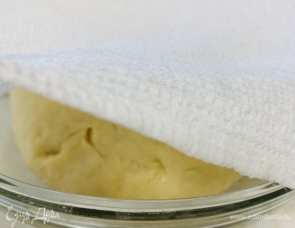 Собираем тесто в шар и отправляем в миску, смазанную растительным маслом. Обваливаем тесто со всех сторон в миске, чтобы оно покрылось легким слоем масла, и накрываем его влажным (не мокрым!) полотенцем. Убираем в теплое место на 1–1,5 часа.