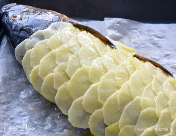 Рыбу уложить на противень, выстеленный пергаментной бумагой, стороной с кожей вниз, выложить картофельные ломтики, создавая эффект рыбной чешуи. Сверху картофель еще раз сбрызнуть небольшим количеством масла.