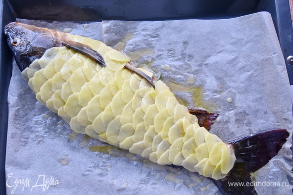 Запекать рыбу в духовке, разогретой до 200°C, в течение 30 минут. Для подрумянивания картофельной чешуи в конце запекания можно подключить функцию «гриль».