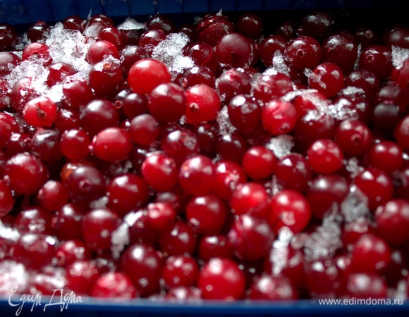 Клюква из заморозки.
