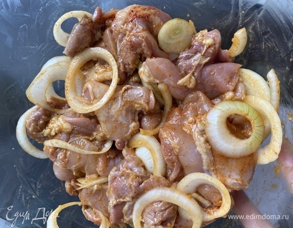 Лук очистить, нарезать кружками. Смешать все приправы, чеснок. Заправить мясо, добавить кольца лука, хорошо перемешать, оставить мариноваться на 2,5 часа. За 30 минут до конца маринования замочить в холодной воде шпажки.