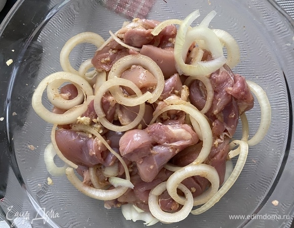 Мясо промыть, просушить на бумажных полотенцах. Нарезать небольшими кусочками. Лук очистить, нарезать кружками. Чеснок очистить, выдавить через пресс. Смешать все приправы, чеснок. Заправить мясо, добавить кольца лука  хорошо перемешать. Оставить мариноваться на 2–3 часа. За 30 минут до истечения времени замочить в холодной воде шпажки. Шпажки нужны длинные (30 см).