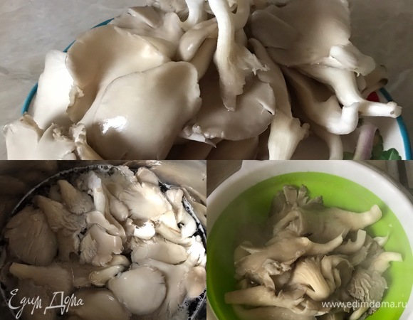 Бланшировать грибы в подсоленной воде 2 минуты, затем промыть холодной водой и слегка отжать.