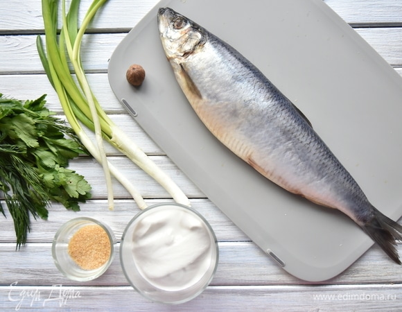 Подготовить необходимые продукты: слабосоленую сельдь, зелень, мускатный орех, желатин. По желанию в закуску можно добавить свежий огурец.