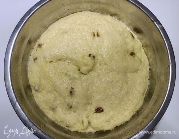 Дрожжи развести в теплом молоке. Смешать яйца с сахаром, ванилином, солью, рикоттой и изюмом. Затем влить молоко и перемешать. Постепенно добавляя муку, замесить тесто. Накрыть пищевой пленкой и поставить в теплое место на 2–3 часа, до увеличения массы в объеме.
