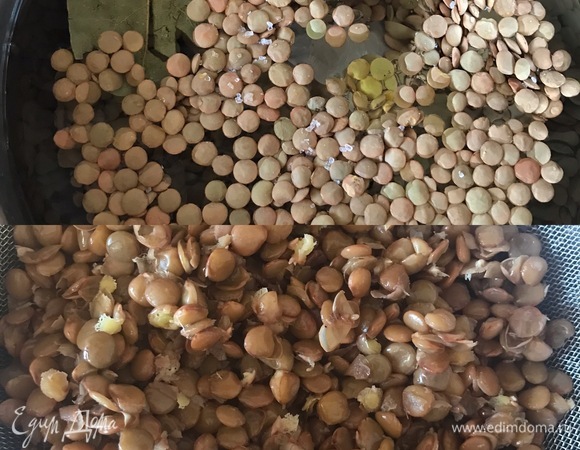 Чечевицу залить водой, добавить соль, одну столовую ложку оливкового масла, лавровый лист. Отварить до готовности. Затем хорошо промыть и дать воде стечь.