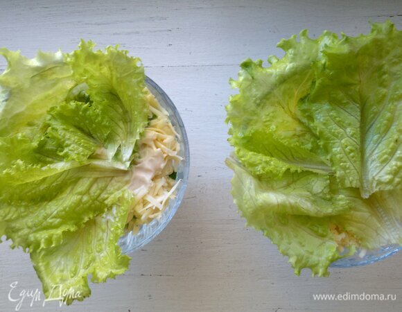 Салатные листья вымыть, обсушить бумажным полотенцем. Выложить поверх сыра. Выложить кружки мандарина в вазочки. Салат сразу подать к столу или держать в холодильнике до подачи.