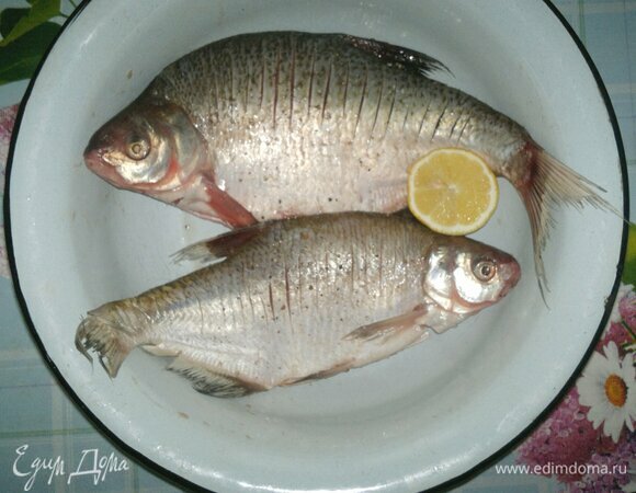 Лещей очистить от чешуи и внутренностей, удалить жабры, тщательно промыть. Затем обсушить бумажным полотенцем внутри и снаружи. Для запекания я взяла крупных лещей. Сделать на поверхности рыбы частые надрезы ножом глубиной примерно 0,5 см. Сбрызнуть лимонным соком снаружи и внутри. Веточки укропа вымыть, обсушить, вложить в брюшко каждой рыбы.