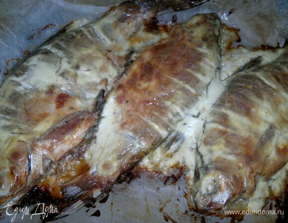 Запеченные в сметане лещи готовы.