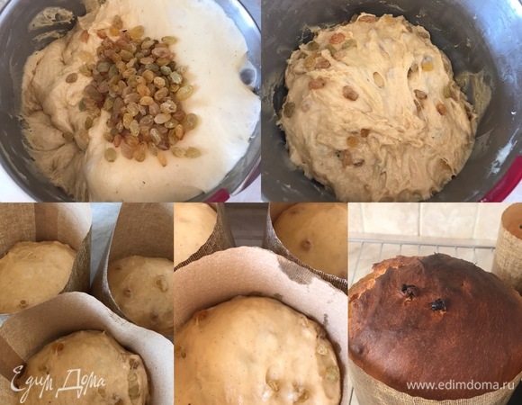 Спустя указанное время мое тесто отлично поднялось. Добавляем в тесто изюм и вымешиваем его руками. Руки советую смазать растительным маслом, так как тесто довольно липкое. Затем раскладываем тесто по формочкам. Я использовала три формы по 500 г, но это тесто поместилось бы и в две формы по 500 г и одну форму в 300 г. Накрываем формы с тестом пищевой пленкой и опять ставим в теплое место на 30–40 минут. Пока наше тесто подходит, нагреваем духовку до 180°C.