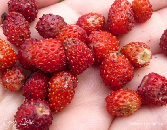 И отличного настроения!