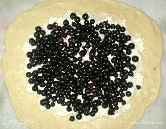 На тесто выложить творог в виде круга, не доходя до края теста 5 см. На творог выложить черную смородину.