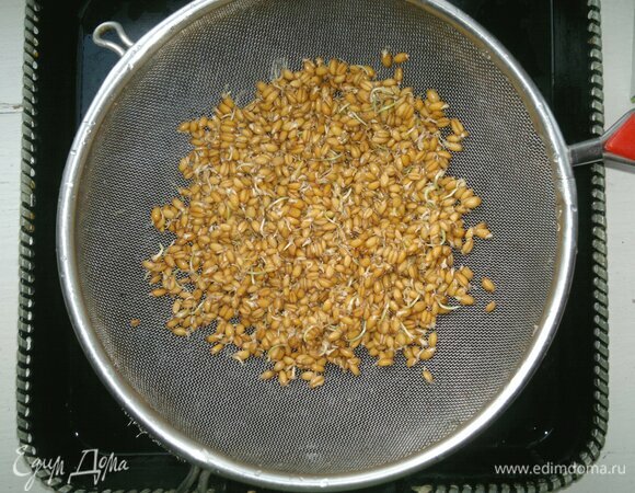 Когда на пшенице появятся ростки длиной 2–3 мм, слить воду и промыть пшеницу в дуршлаге. Пшеница готова к употреблению.