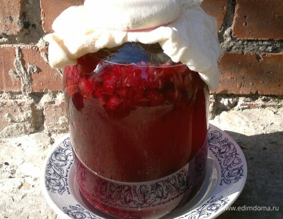 Банку с заготовкой кваса поставить в теплое место. Я поставила во дворе на солнечное место. Квас должен начать «играть», т. е. начнется брожение, будут выделяться пузырьки газа.