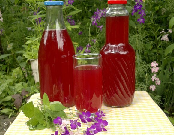 Свекольный квас готов. Использовать его в качестве освежающего напитка или как основу для окрошки. Угощайтесь! Приятного аппетита!