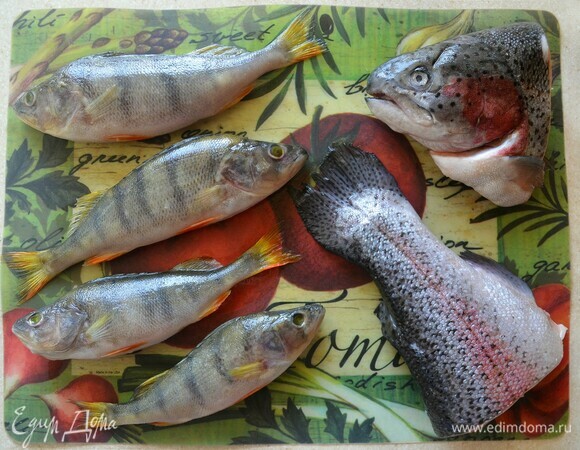 Подготовьте рыбу: голову и хвост форели, а также мелкую речную рыбку. Я брала свежевыловленных озерных окуньков (500 г). Рыбу промойте, очистите от чешуи, выпотрошите, удалите жабры и еще раз хорошо промойте под проточной водой.