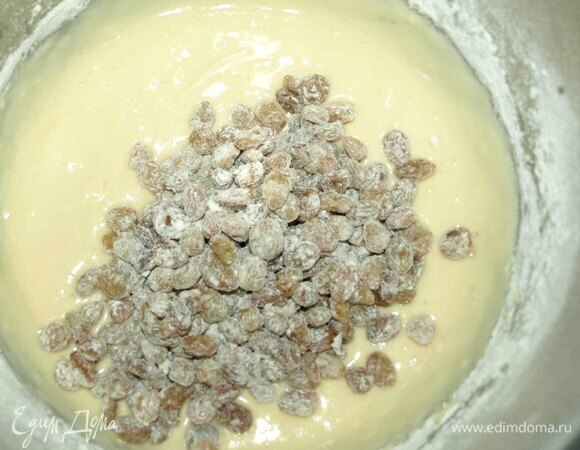 Постепенно добавляем муку и замешиваем тесто. Кладем подготовленный изюм, и все хорошо перемешиваем.