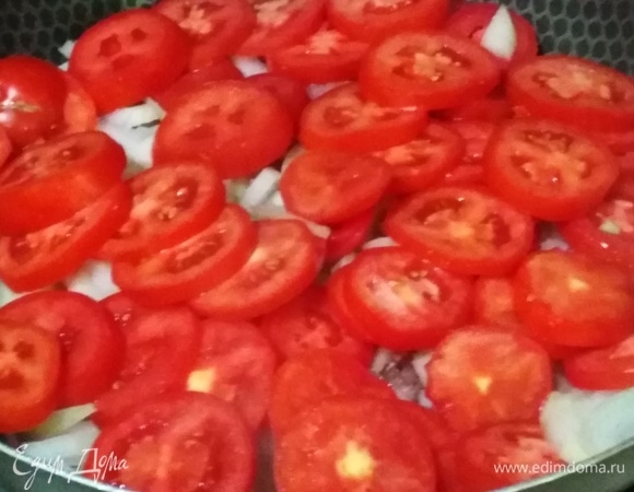 Добавить помидоры, посолить.