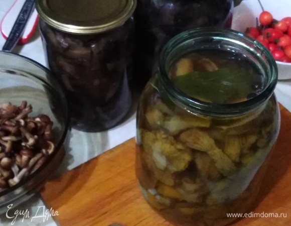 Выложить грибы в стерилизованные банки. Пересыпать нарезанными пластинами чеснока. Залить рассолом вместе со смородиновыми листами.
