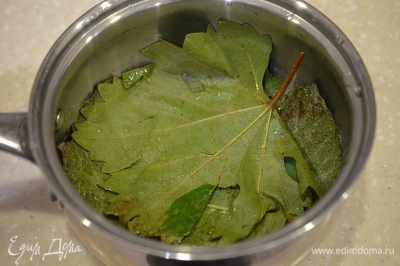 Рецепт голубцов из виноградных листьев с пошаговым фото и 15 рецептов долмы, которые порадуют ваш вкус