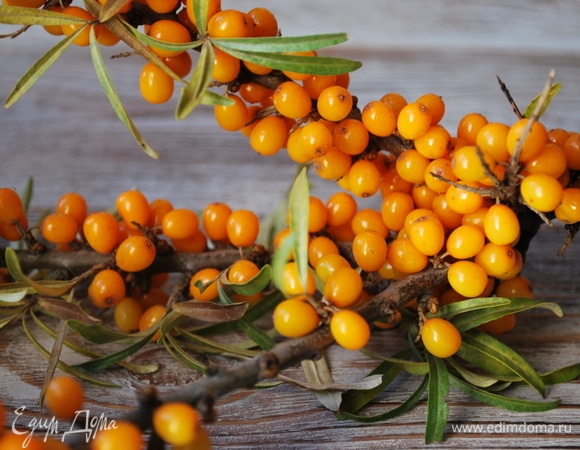 Для чая возьмите свежую облепиху. Ножницами аккуратно срежьте ягоды.