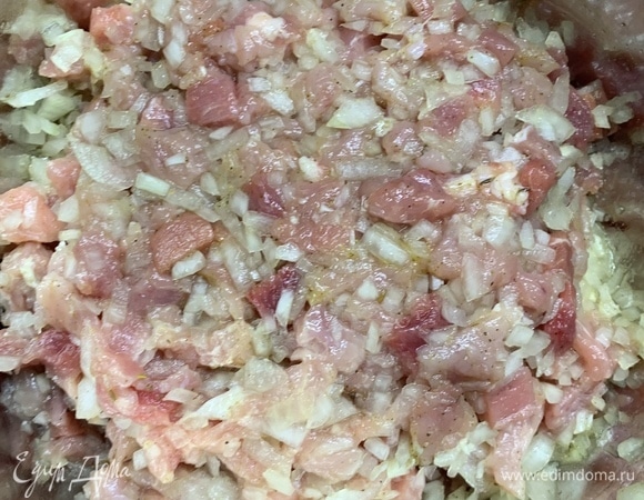 Мелко нарезаем мясо и лук. Добавляем специи по вкусу. Хорошо перемешиваем.