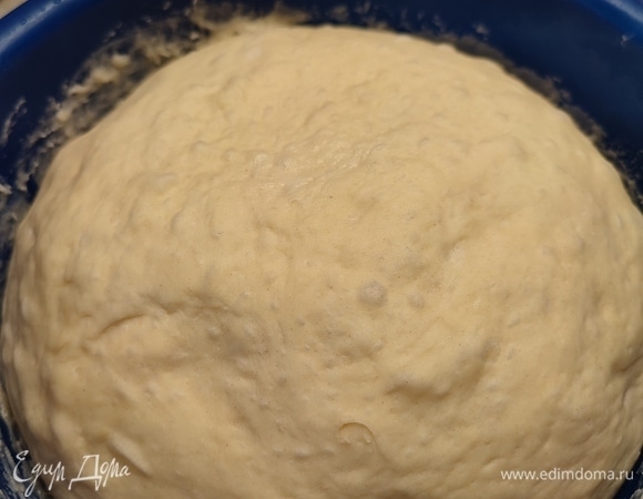 У меня тесто простояло 15 часов. Оно прекрасно поднялось и покрылось пузырьками.