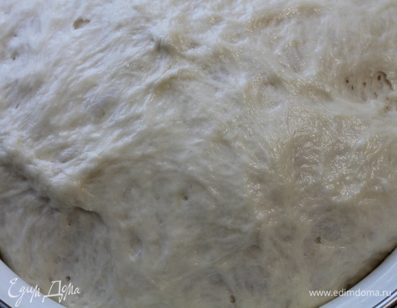 Тесто замешиваем и оставляем подходить в теплом месте около 1 часа.