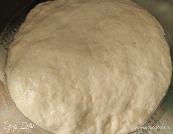 Посуду смазать растительным маслом. Выложить тесто. Накрыть. Оставить для брожения на 8–12 часов.