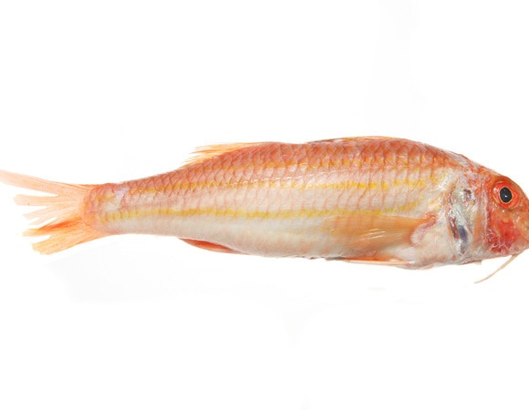 Сначала, как водится, пару слов о «вообще» барабульке.<br />
<br />
«Барабулька — небольшая черноморская рыбка, о которой слагали легенды. Несмотря на размеры, жители побережья произносят название рыбы с уважением и любовью. Она стала визитной карточкой курортов Крыма и Кавказа на Черном море. Еще ее называют „султанка“. Относится к семейству барабулевых. Латинское название — Mullus barbatus, что дословно переводится как „краснобородка“. Обитает в Черном, Азовском и Средиземном морях, а также в Индийском и Тихом океанах. Считается, что вкус черноморской более нежный благодаря высокому содержанию особого ароматного жира».