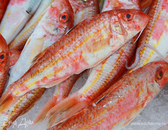 «Из рыб, населяющих Черное море, барабулька ценится как самая вкусная, нежная и ароматная. Ее мясо высоко ценили древние римляне, народы Греции, Византии, Восточных стран. Сохранились мозаики с изображением маленькой рыбки, найденные при археологических раскопках. В Древнем Риме барабульку называли „муллом“ и содержали в бассейнах — писцинах».<br />
<br />
«По одному из поверий, в Турции барабулю подавали к столу султанов. Простым смертным есть ее запрещалось. Отсюда пошло второе название рыбы — султанка. Барабульку писали в своих картинах художники. В основном это кулинарные натюрморты, подчеркивающие отношение гурманов к рыбе. Внимание султанке оказали Клод Мане, Эдуард Мане, Пьер Огюст Ренуар».