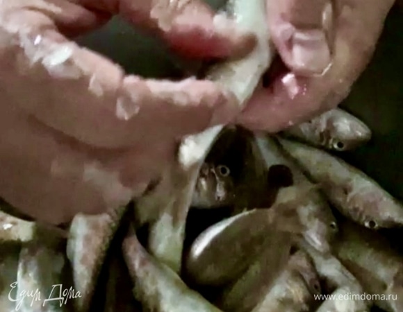 Хоть она и из воды только, но промыть надо рыбку хорошо. Мне не трудно, а на душе спокойнее. Тушка, организм, тело — как хотите, назовите, а покрыт он у барабульки чешуей. И, хотя и находятся крупные барабульковеды, которые утверждают, что ее, рыбку эту, можно есть прямо с ней, с чешуей, мне этот вариант не нравится. Категорически. Поэтому рыбку я обязательно чищу. Можно, например, ножиком. Просто так, без затей пошкрябать. А можно применить какое-нибудь специальное техническое устройство, типа терки специальной. Но оптимально чистить эту рыбку просто руками. Т. е. пальцами. Да! Барабулька легко и без проблем чистится от чешуи просто пальцами. Чешуя как бы просто стирается с тушки.