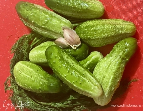 Понадобится килограмм некрупных огурцов. И обязательно, что называется, молодых, в общем, не перезрелых. Замечу, что чеснок — опция желательная, но не строго обязательная. Тут надо исходить из «по вкусу» и «по потребности».