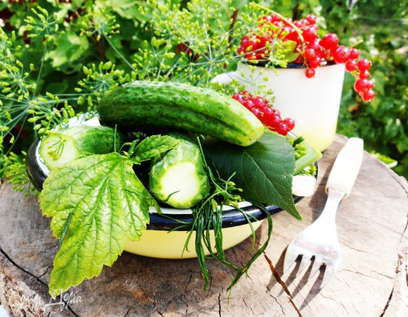 Малосольные огурчики готовы. Очень вкусные!