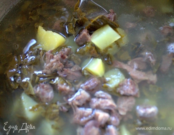 Или на воде доводим до кипения щавель с солью, перцем, картофелем. Остужаем. Добавляем мясо.