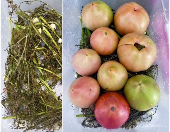 На дно емкости уложил подушку из примерно трети букета зеленого и добрую пригоршню нарубленного чеснока. А потом аккуратненько, стараясь подобрать равные по размеру, выложил я помидоры. На эту, значит, подушку.