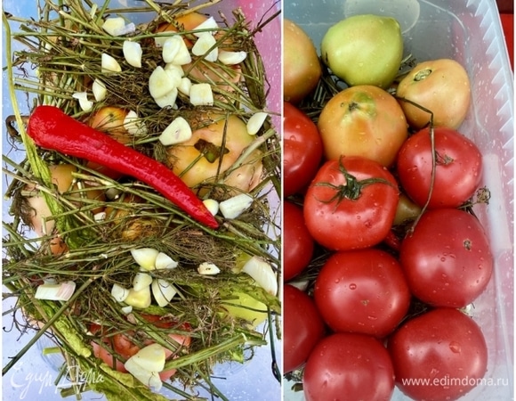И накрываю помидоры сверху опять слоем зеленого букета и чеснока. Перчик добавить стоит. Придаст, я вам точно говорю, и пикантности, и аромата. А поверх этого одеяла опять помидоры. И снова не забывать о том, что надо их подбирать одинаковыми по размеру, добиваться ровного слоя.