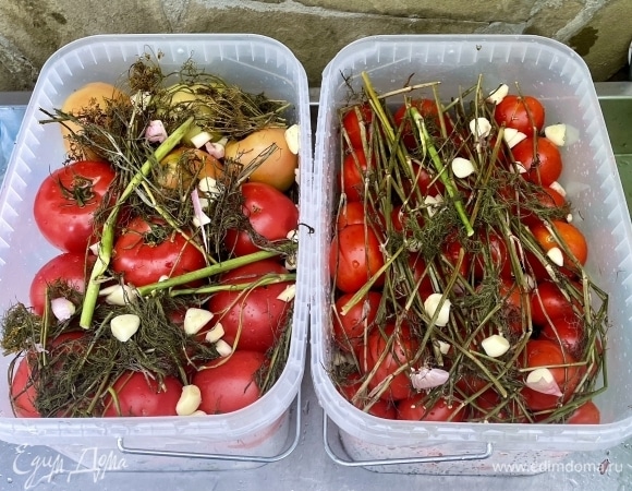 Сверху опять прикрыть слоем «зеленки» и чеснока добавить. В одной емкости (слева) у меня помидоры на две трети зелено-бурые и на треть красные. Но красные — твердые, только в спелость вошедшие и, в общем, крепкие такие и крупные. В другой совсем спелые и размером ниже среднего ягоды собрались. Остальное все уложено так же, как и описано выше.
