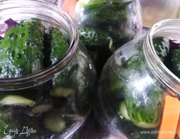 Огурцы предварительно замочить на 1 час в холодной воде. Промыть, обрезать кончики. Уложить в банки.