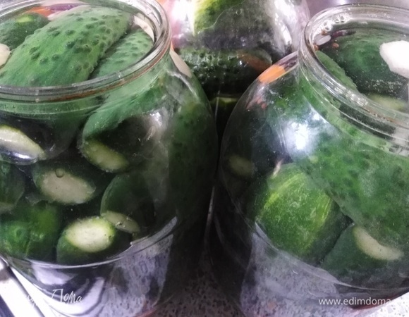 Залить кипятком, накрыть крышками. Дать постоять 10–15 минут. Слить воду из банок, прокипятить и еще раз залить огурцы. Оставить банки на 30–40 минут. Слить, добавить соль и сахар. Прокипятить. Влить уксус, разлить по банкам рассол.