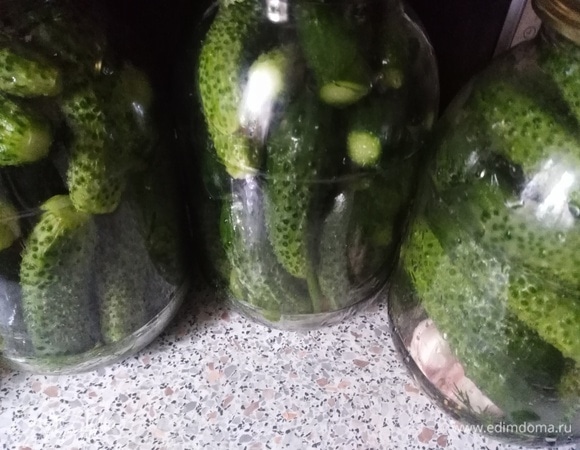 Заполнить огурцами.