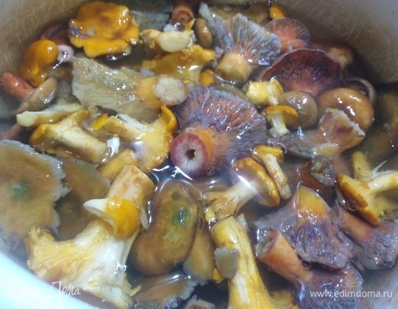 В кастрюле вскипятить воду с солью из расчета 1 ст. л. на 500 мл воды. Опустить туда грибы и варить 10 минут.