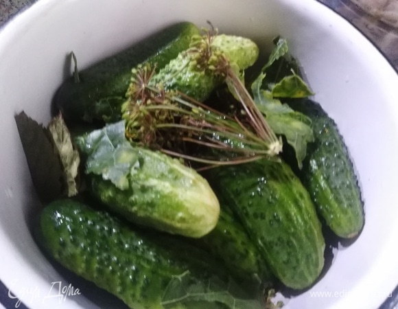 В емкость уложить промытые специи и огурцы.