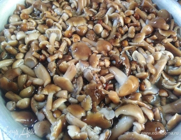 Залить водой, чтобы она их чуть покрывала. Довести до кипения. Удалить пену.