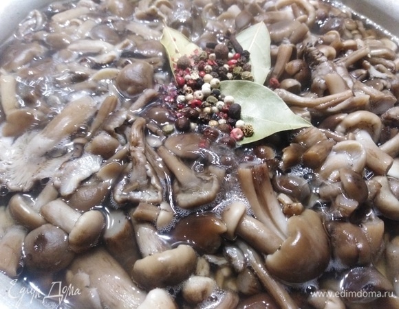 Добавить их за 10 минут до окончания варки. Выключить грибы и влить уксусную эссенцию из расчета на 1 л воды 1 ч. л. или 4 ст. л. уксуса 9%.
