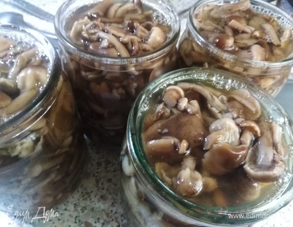 Разложить грибы по стерилизованным баночкам. Закатать.