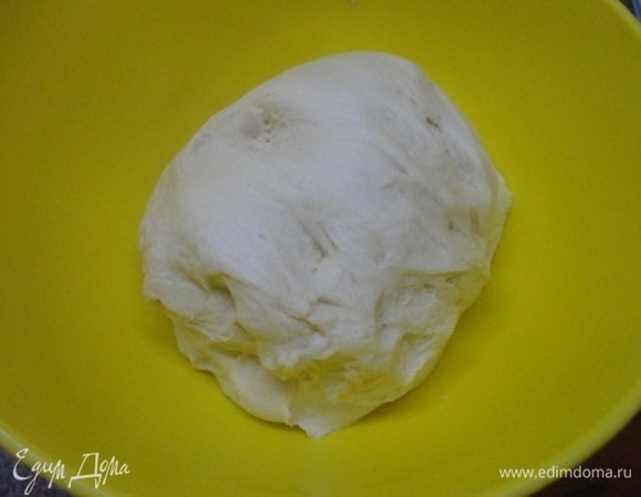 Смешать теплое молоко с солью, сахаром, яйцом и растительным маслом. Муку соединить с дрожжами и высыпать к жидким ингредиентам. Хорошо перемешиваем и вымешиваем эластичное тесто. Оставляем в тепле примерно на 1 час.