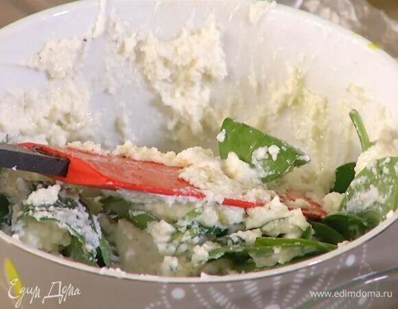 К рикотте всыпать соль, перец, мускатный орех и все перемешать, затем добавить шпинат, 2 ст. ложки оливкового масла и еще раз перемешать.