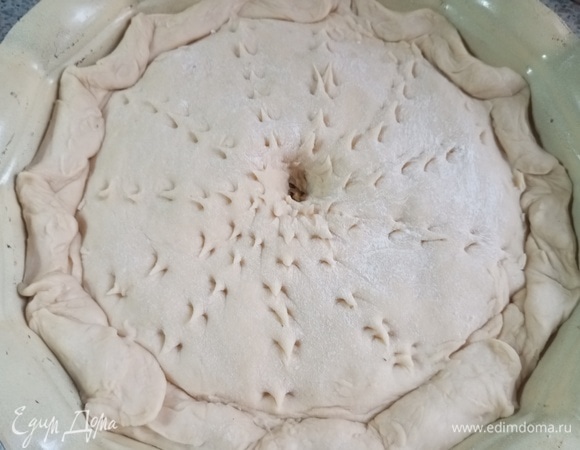 Накрыть второй половиной теста. Края соединить, в центре сделать небольшое отверстие. Оставить на 20–30 минут. Смазать верх смесью желтка с молоком.