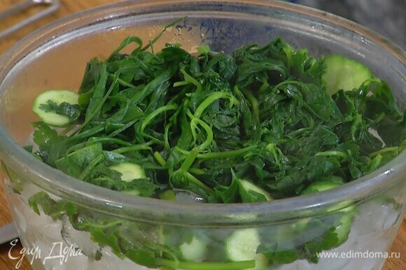Приготовить заправку: в отдельной кастрюле вскипятить воду, подсолить, выложить зелень, огурцы и, помешивая, прогревать пару минут, затем шумовкой переложить в миску со льдом. Воду сохранить.